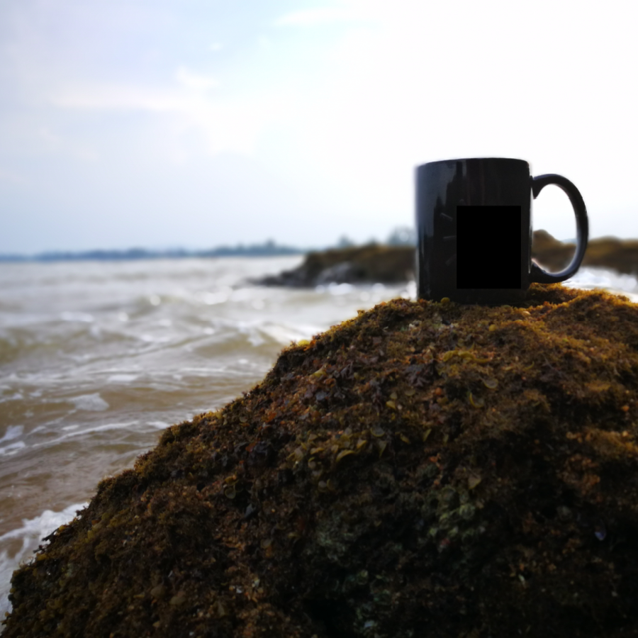 A mug is resting on top of a rock with the ocean and a light blue sky in the background