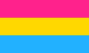 Pansexual Flag Pansexual flag with pink, yellow, and blue stripes
